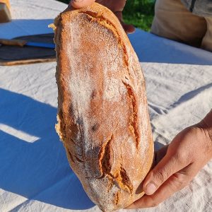 Pain Paysan semi-complet