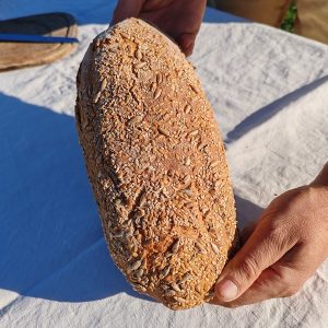 Pain aux graines