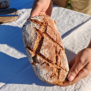 Pain de Seigle complet