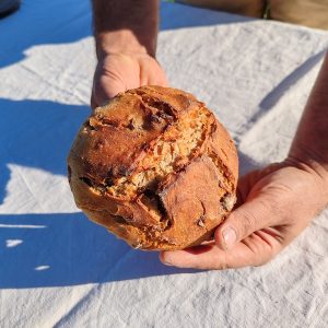 Pains aux figues semi complet