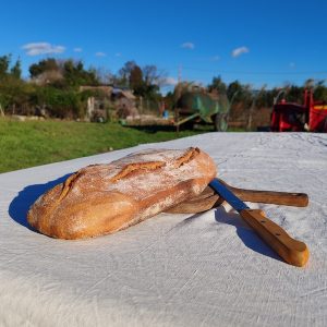 Pain Paysan semi-complet