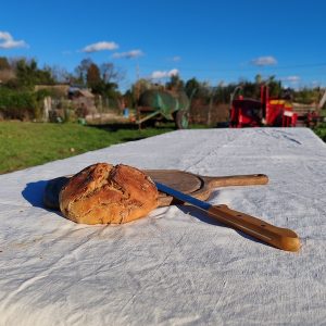 Pains aux figues semi complet