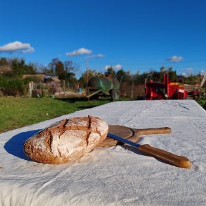Pain de Seigle complet