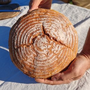 Pain au Petit Épeautre