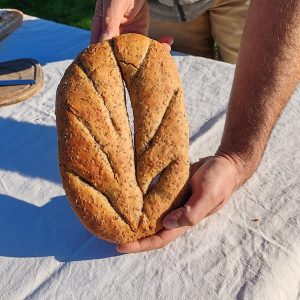 Gibassier à l'anis vert