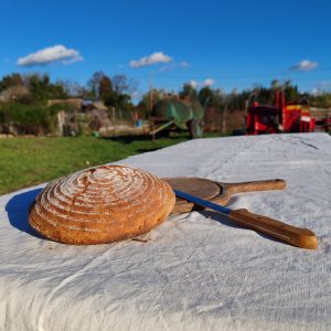 Pain au Petit Épeautre